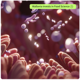 ARE_YOU_A_RESEARCHER_7_0.png